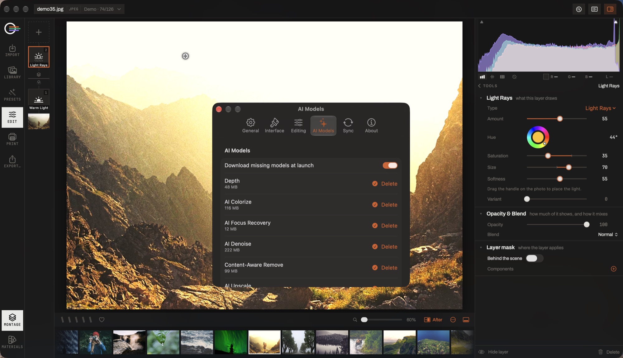 Settings on the AI Models tab, listing the downloadable models with their sizes and a delete button each.