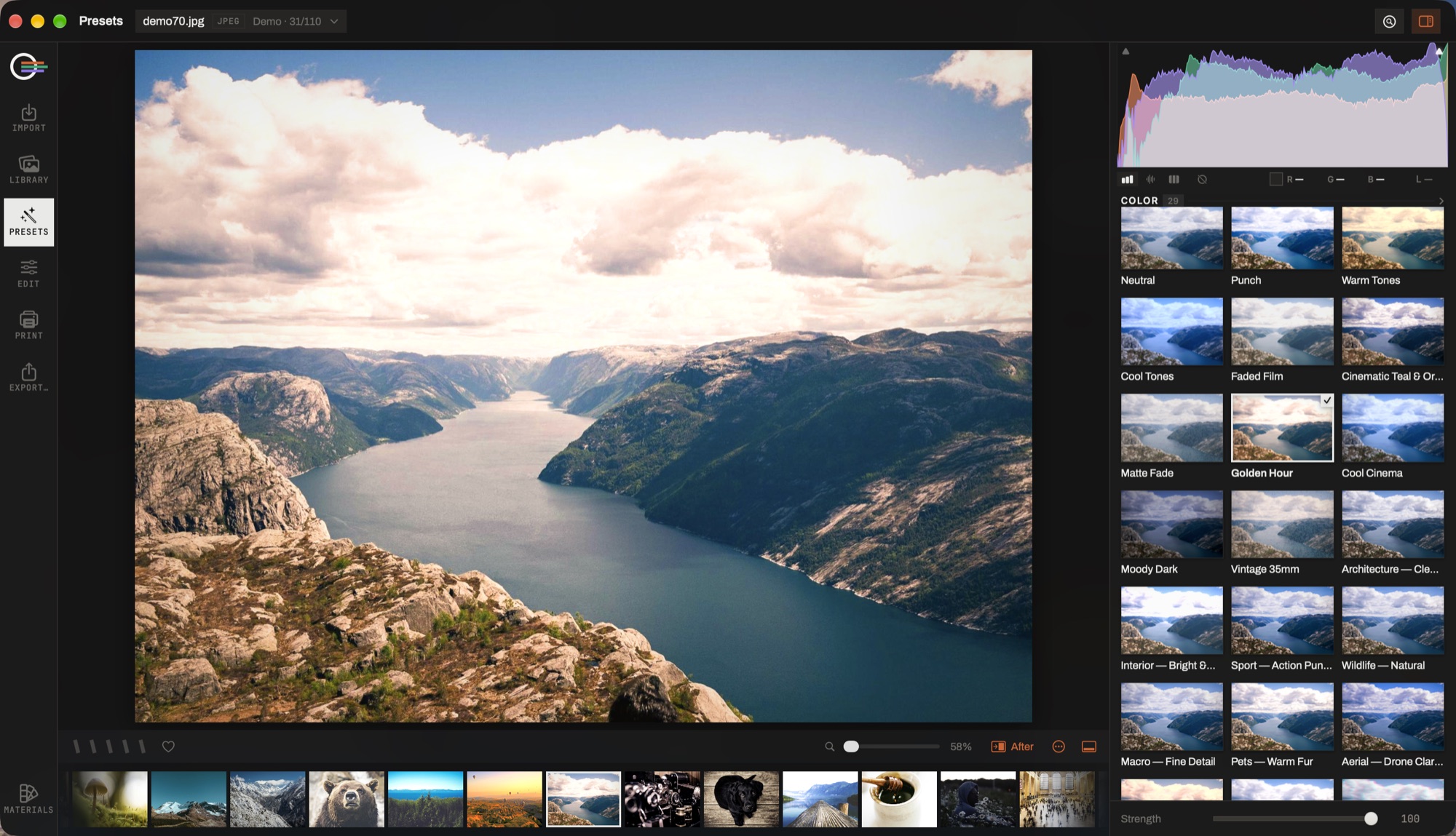 The Presets module: the photograph on the left with a look applied, and the preset packs as cards on the right with a strength slider under them.